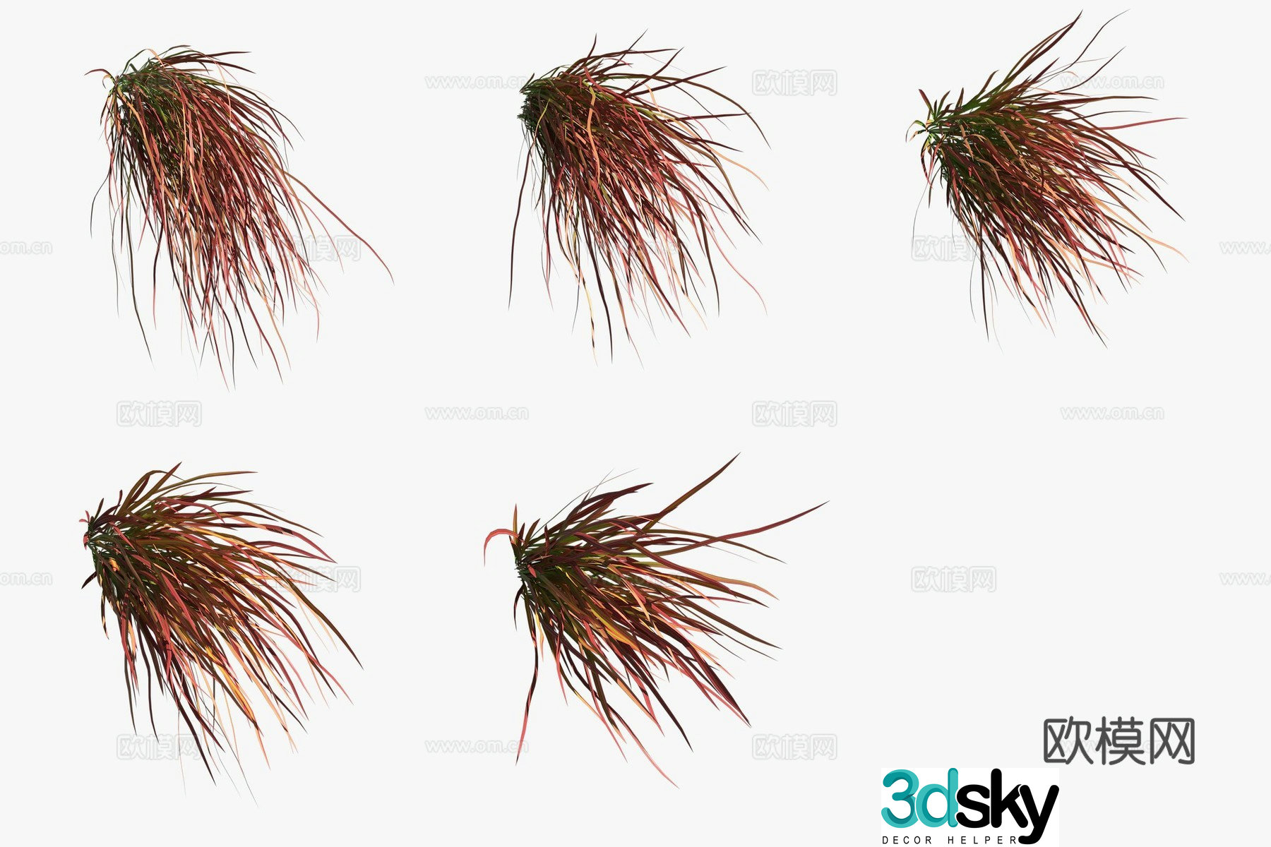 Red Baron Blood Grass Flowers and Grass 3D Model