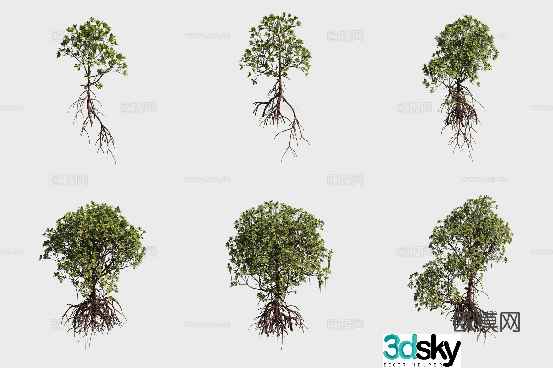 3D model of fine stamen mangrove plants