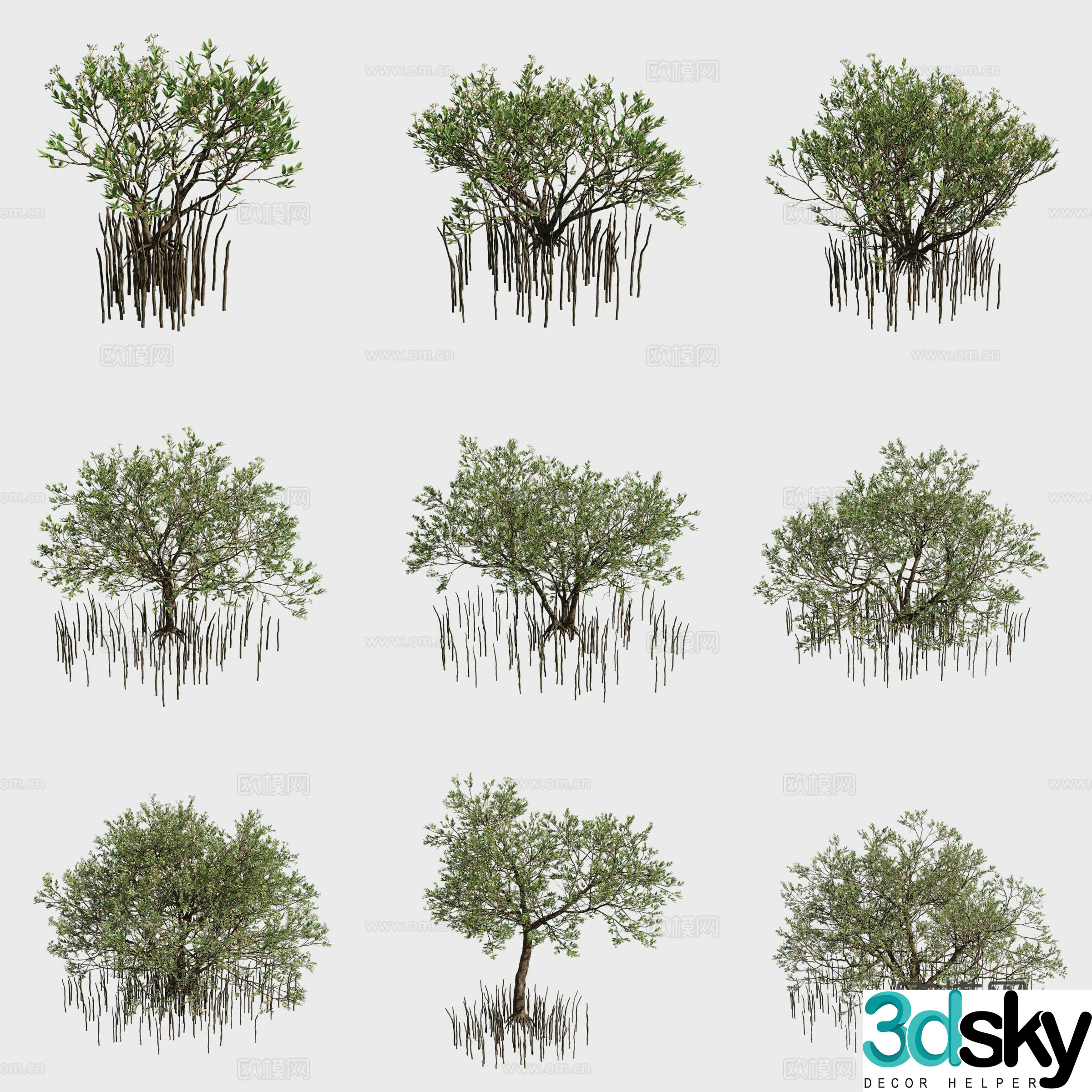 Black-skinned mangrove plant 3d model
