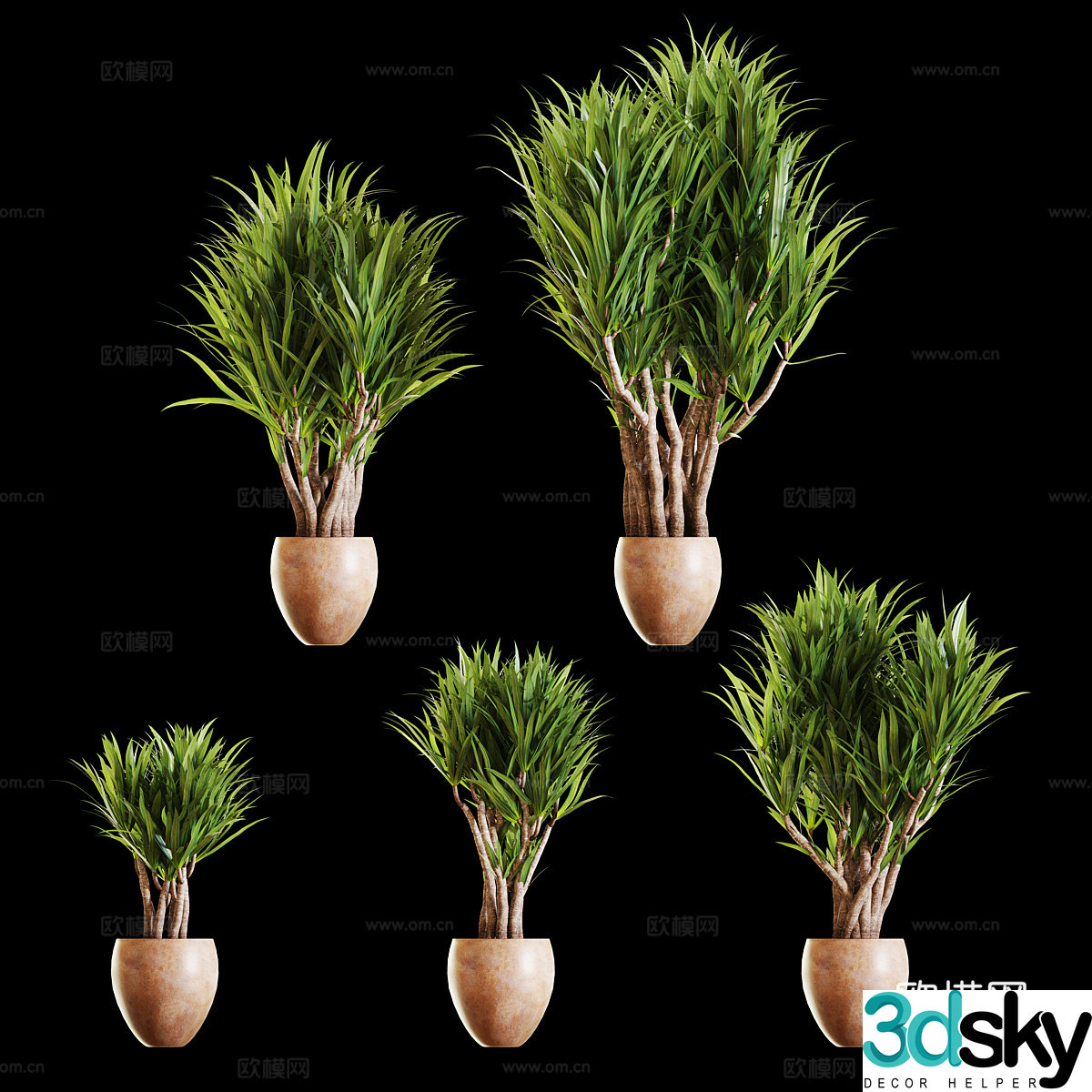 Green plant potted 3D model