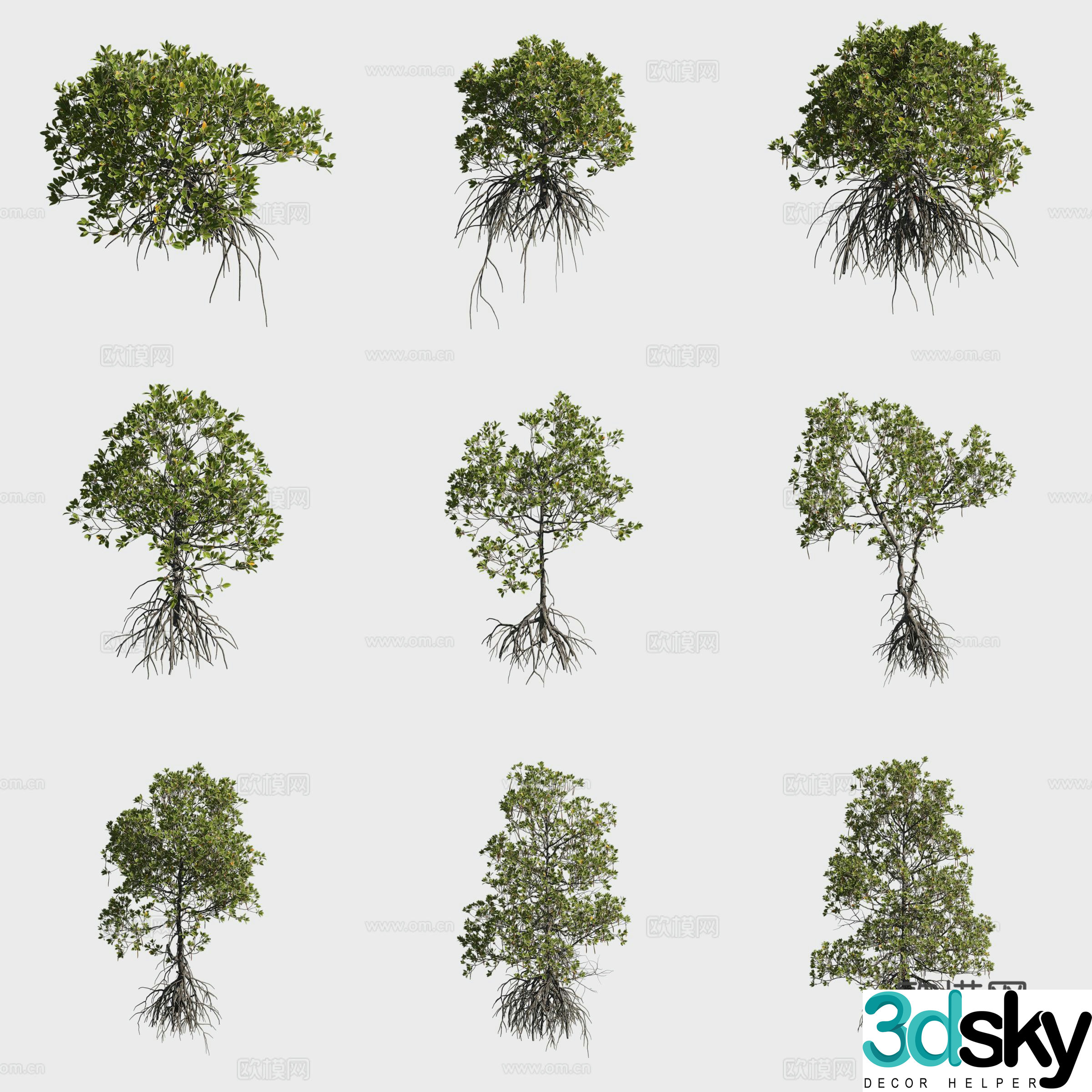 Mangrove mangrove plants 3d model