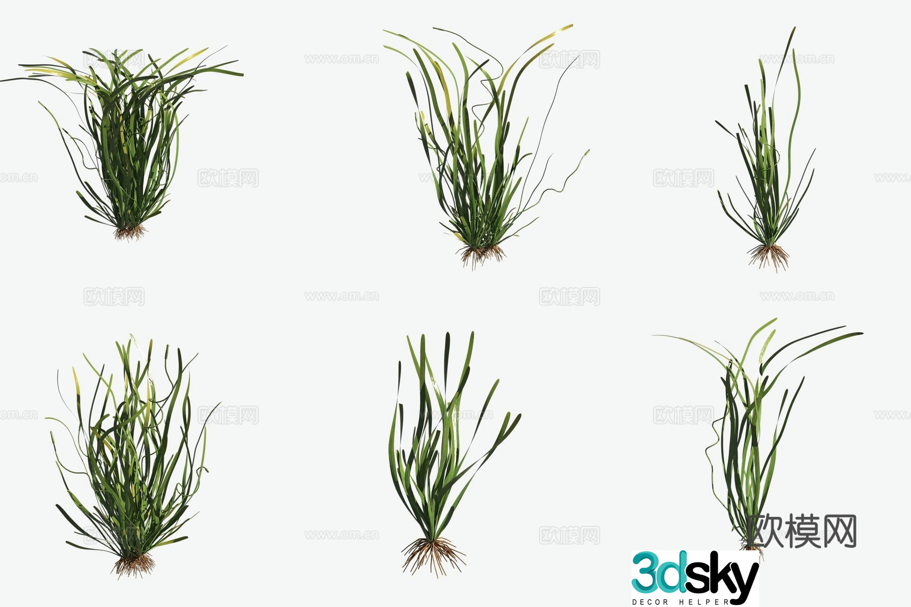 Aquatic plants spiral orchid aquatic plants 3D model