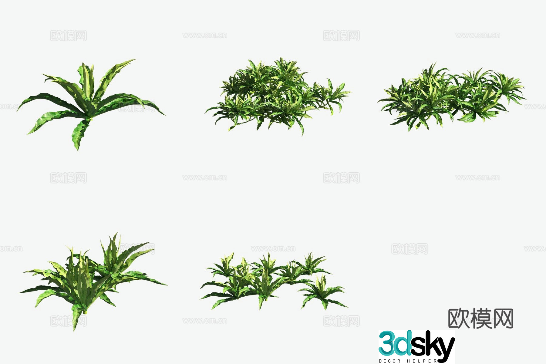 Aquatic plants cranberries aquatic plants 3D model