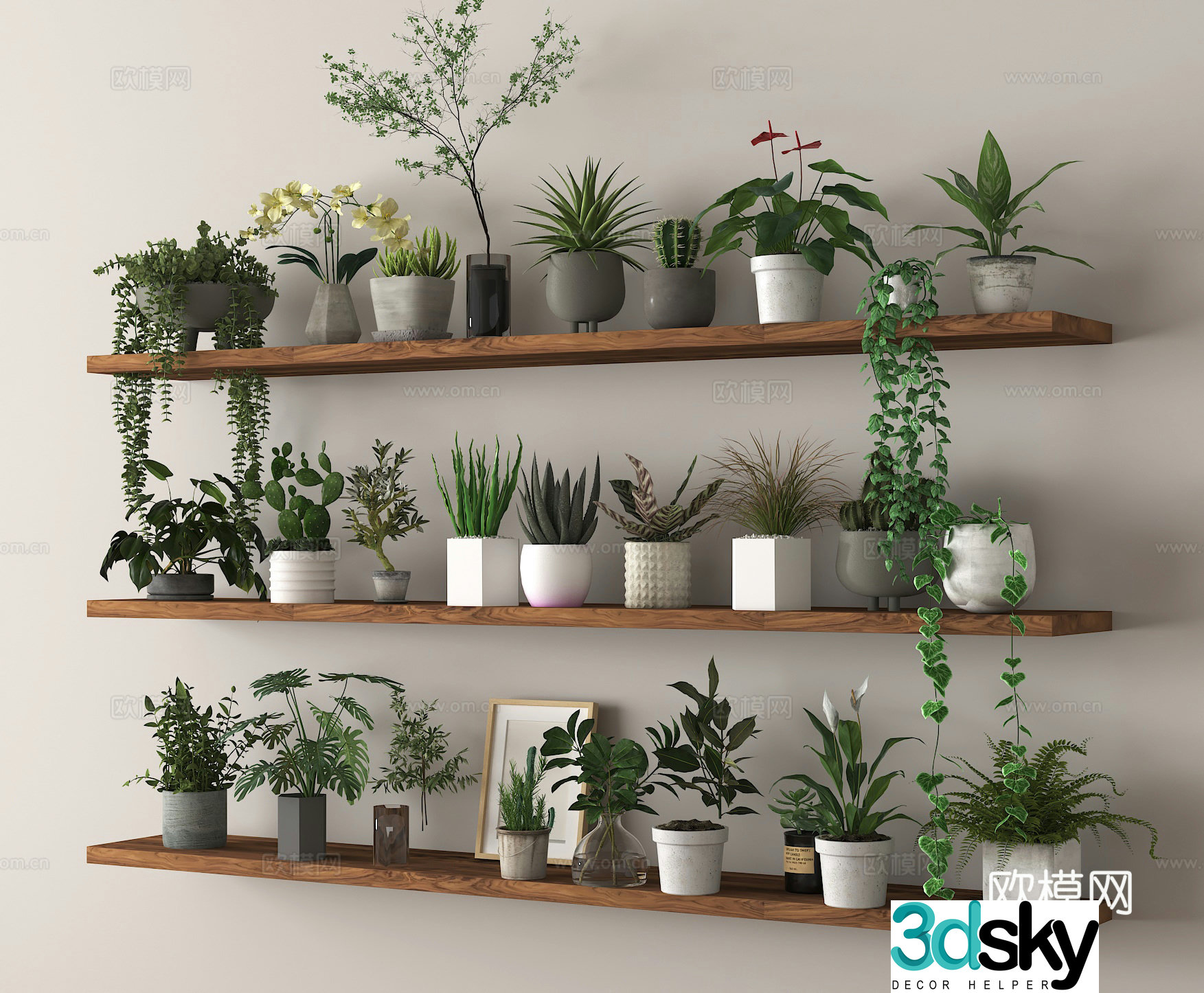 Potted plants Bonsai Green plants 3D model