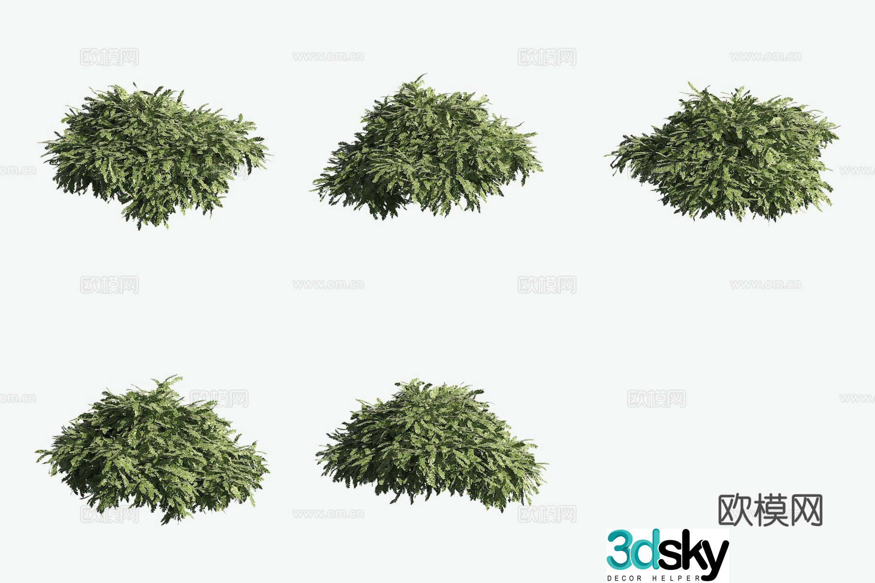 Aquatic plants Emerald Moss aquatic plants 3D model