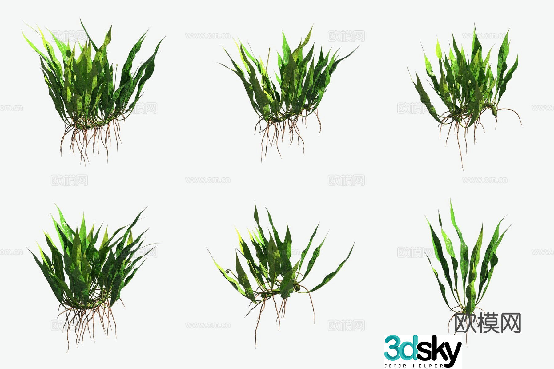 Aquatic plants iron crown aquatic plants 3d model