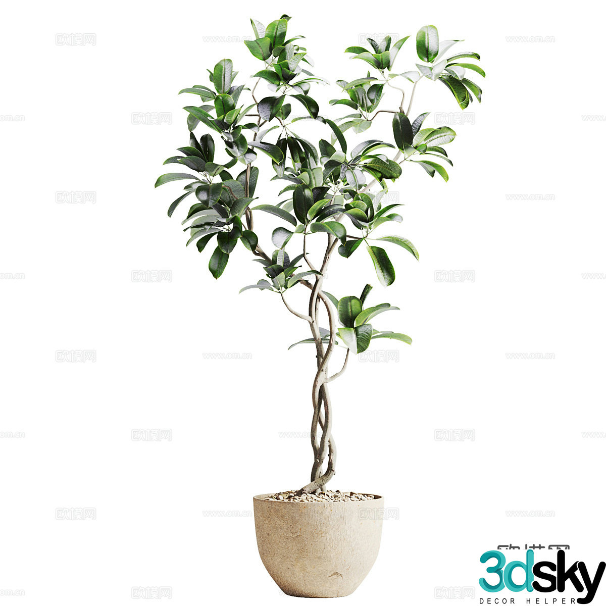 New Chinese style wabi sabi banyan tree potted 3D model