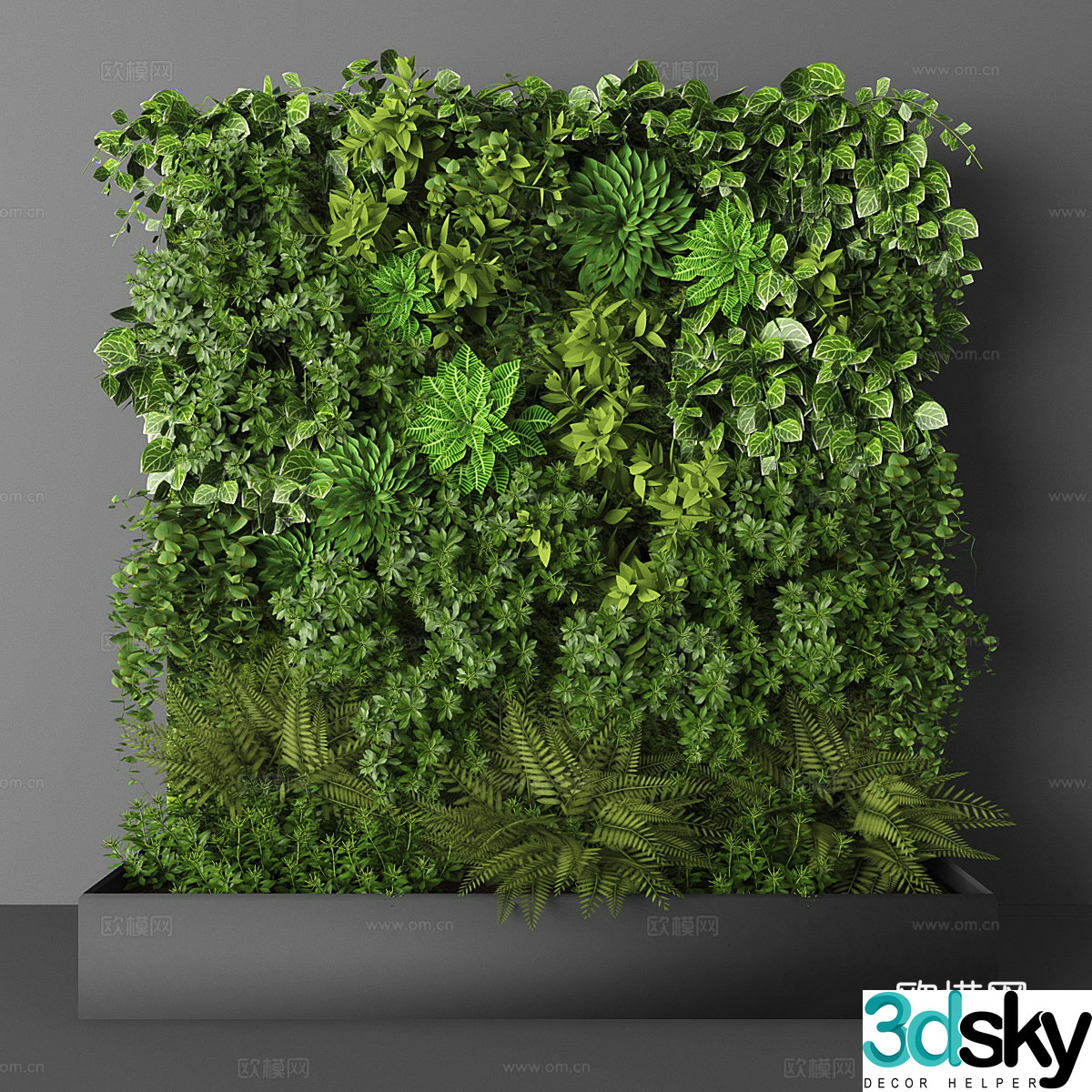 Plant wall Plant 3d model
