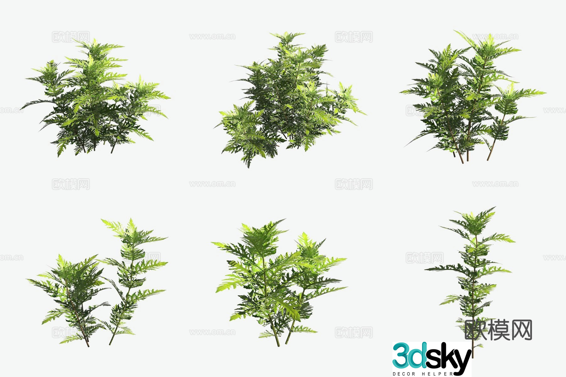 Aquatic plants water Roland aquatic plants 3d model