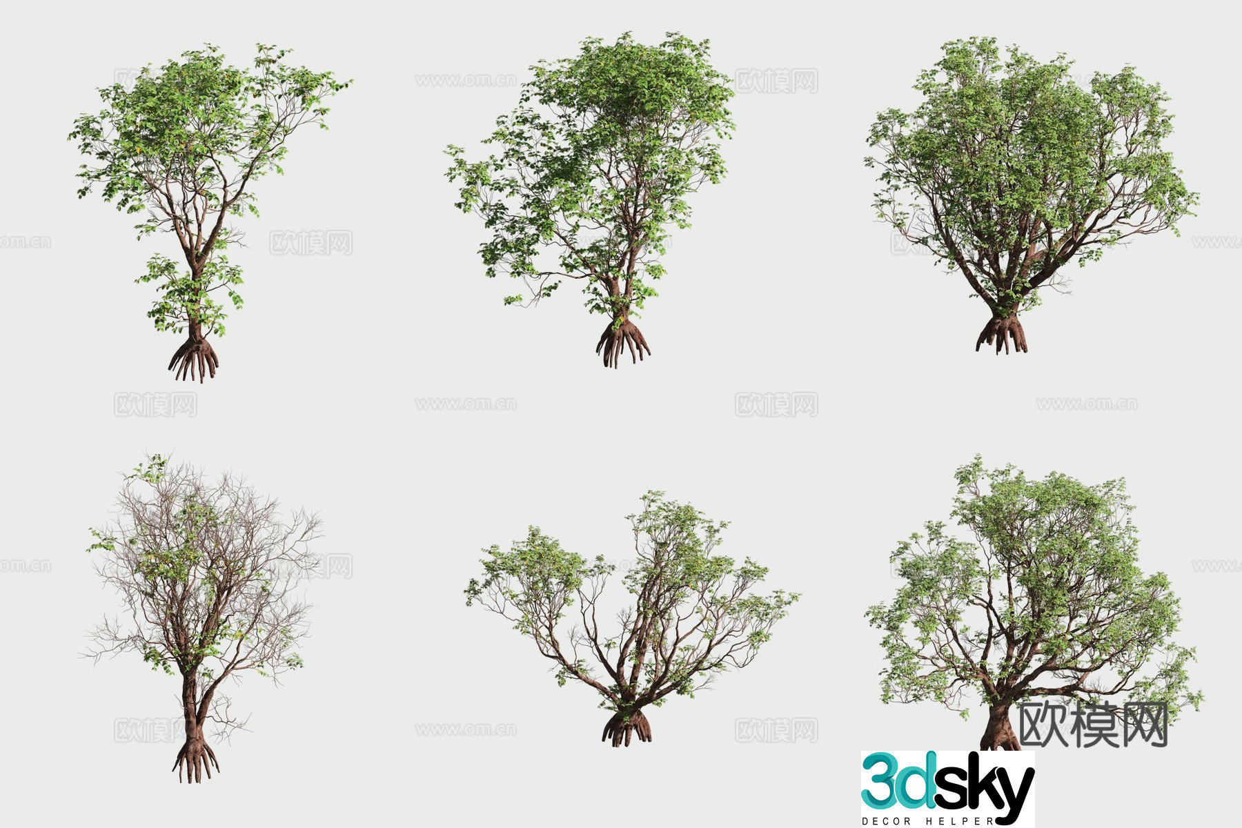 3D model of mangrove plants in timber