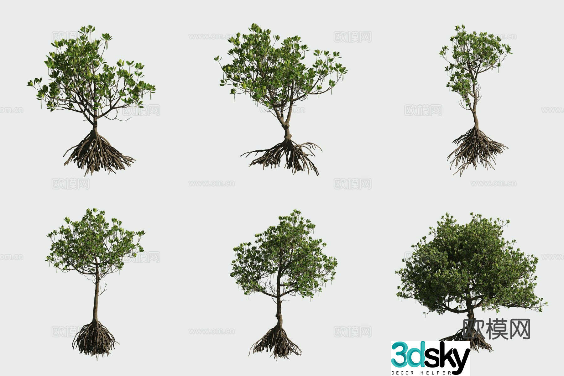 3D model of hornwood mangrove plants