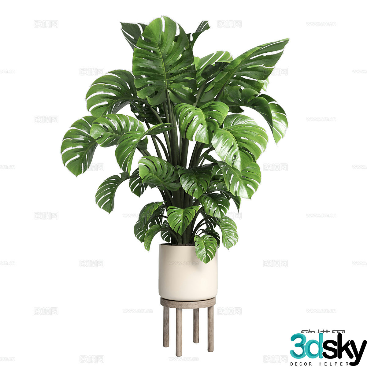 Green plant potted 3D model