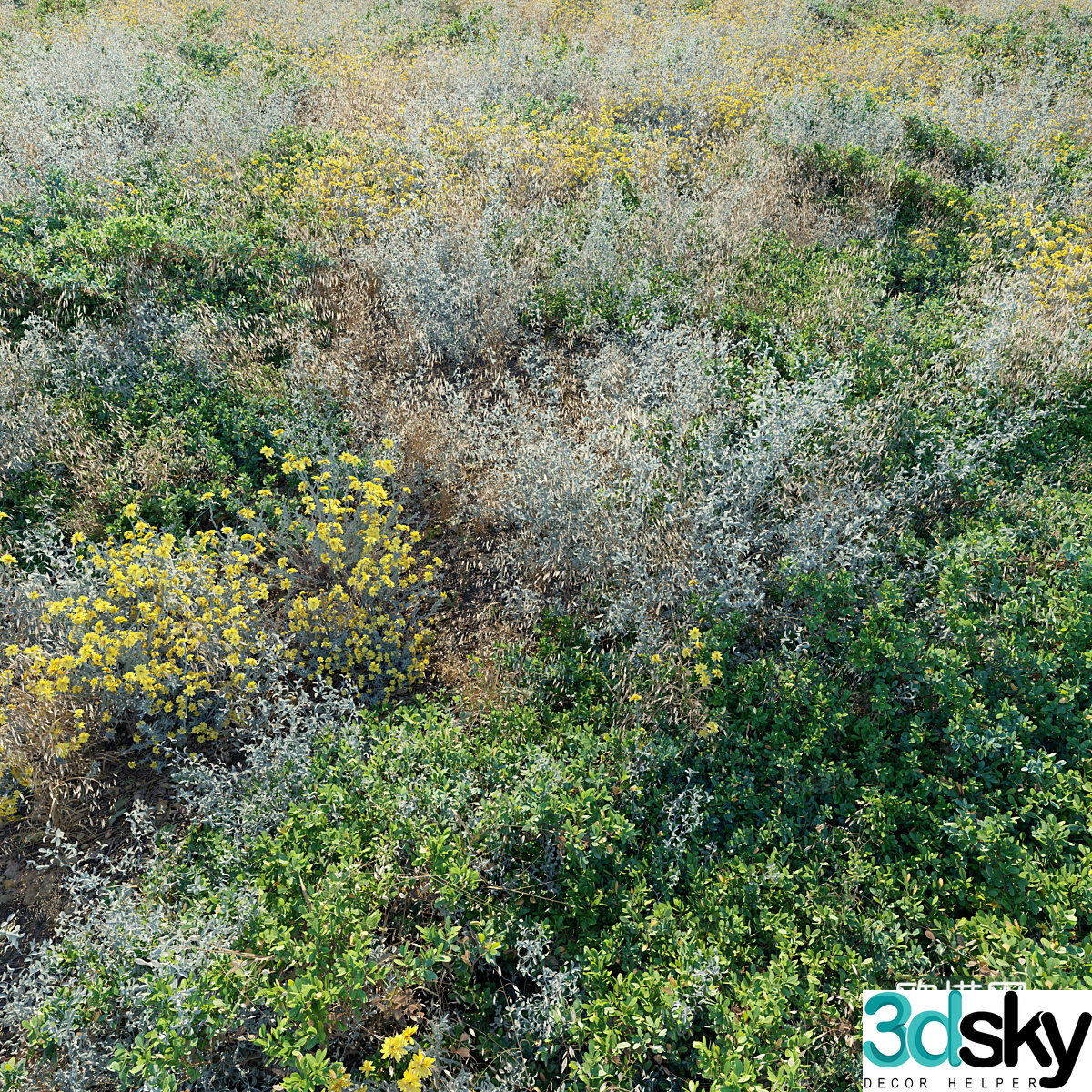 turf grass flowers and plants from grass outdoor meadow wild grass haystack 3d model