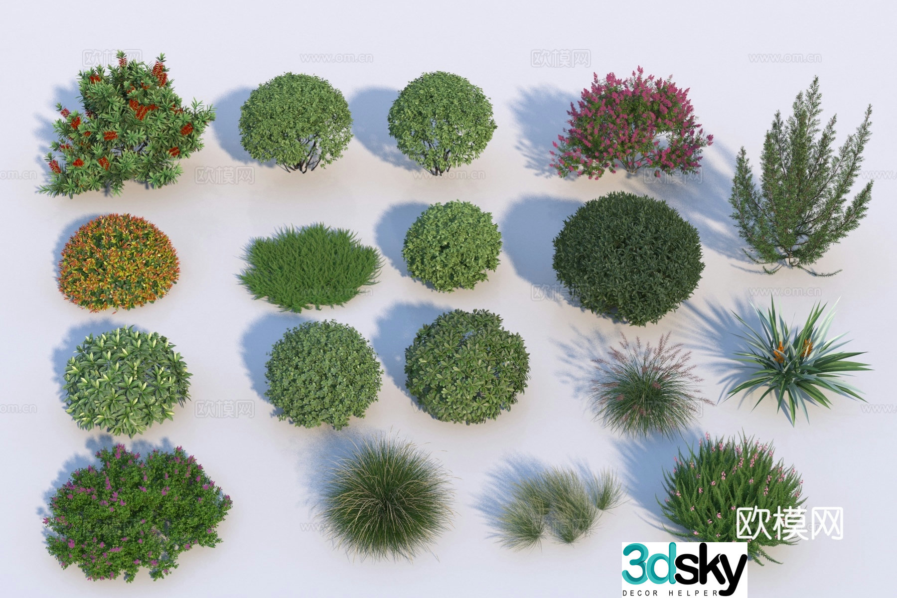 Modern shrub combination 3d model