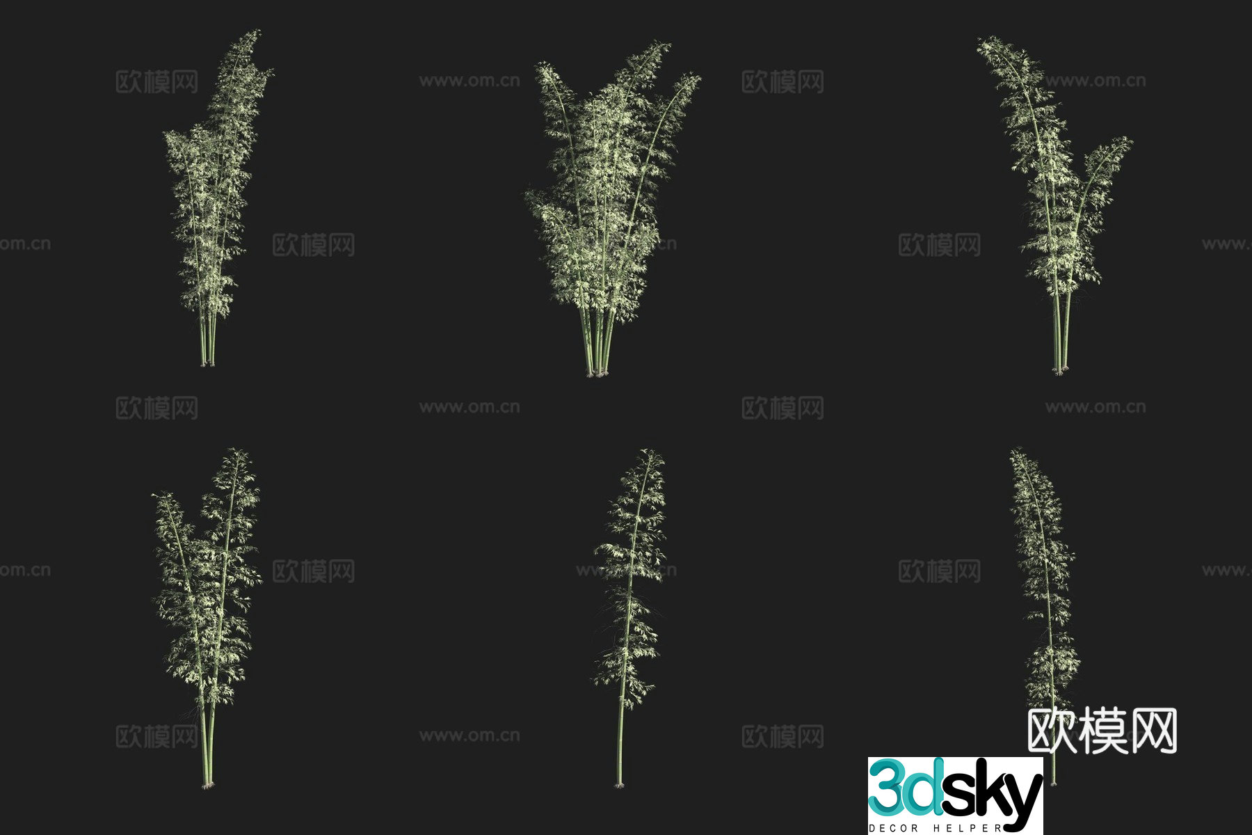 Bamboo forest osmanthus 3d model