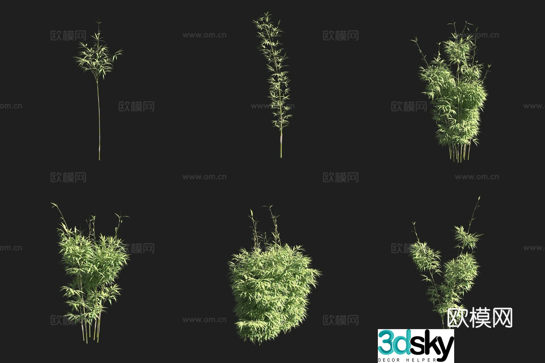 Japanese Arrow Bamboo Bamboo Forest 3D Model