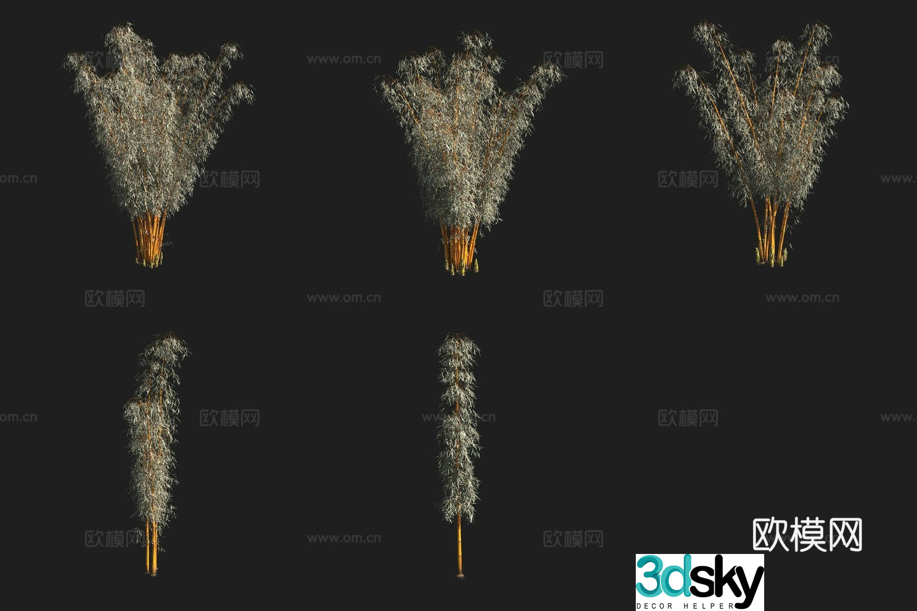 Dragon head bamboo 3d model