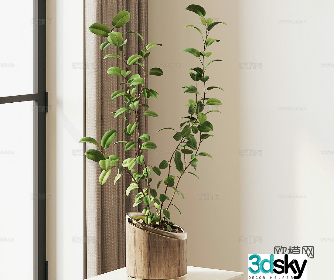 Potted plants green ivy spider plant gold-edged jade 3D model