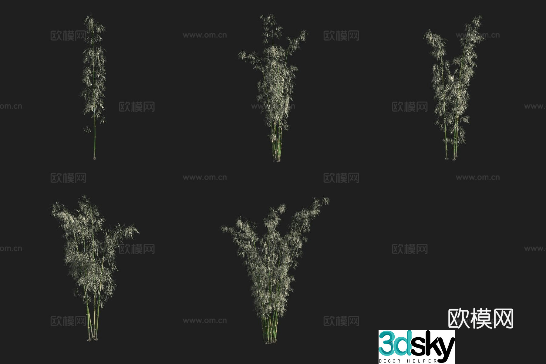 Green skin bamboo bamboo forest 3d model