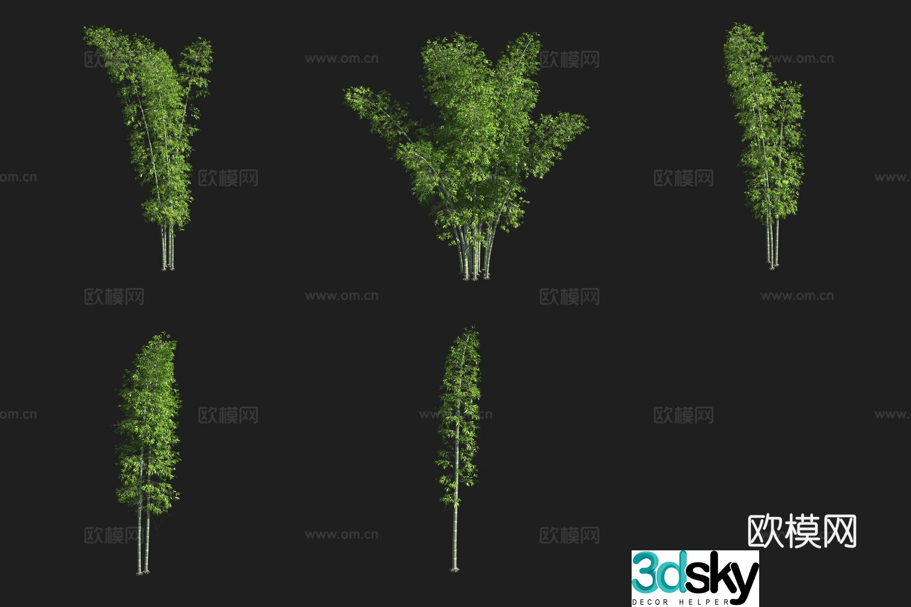3D model of narrow-leaf melon bamboo bamboo forest