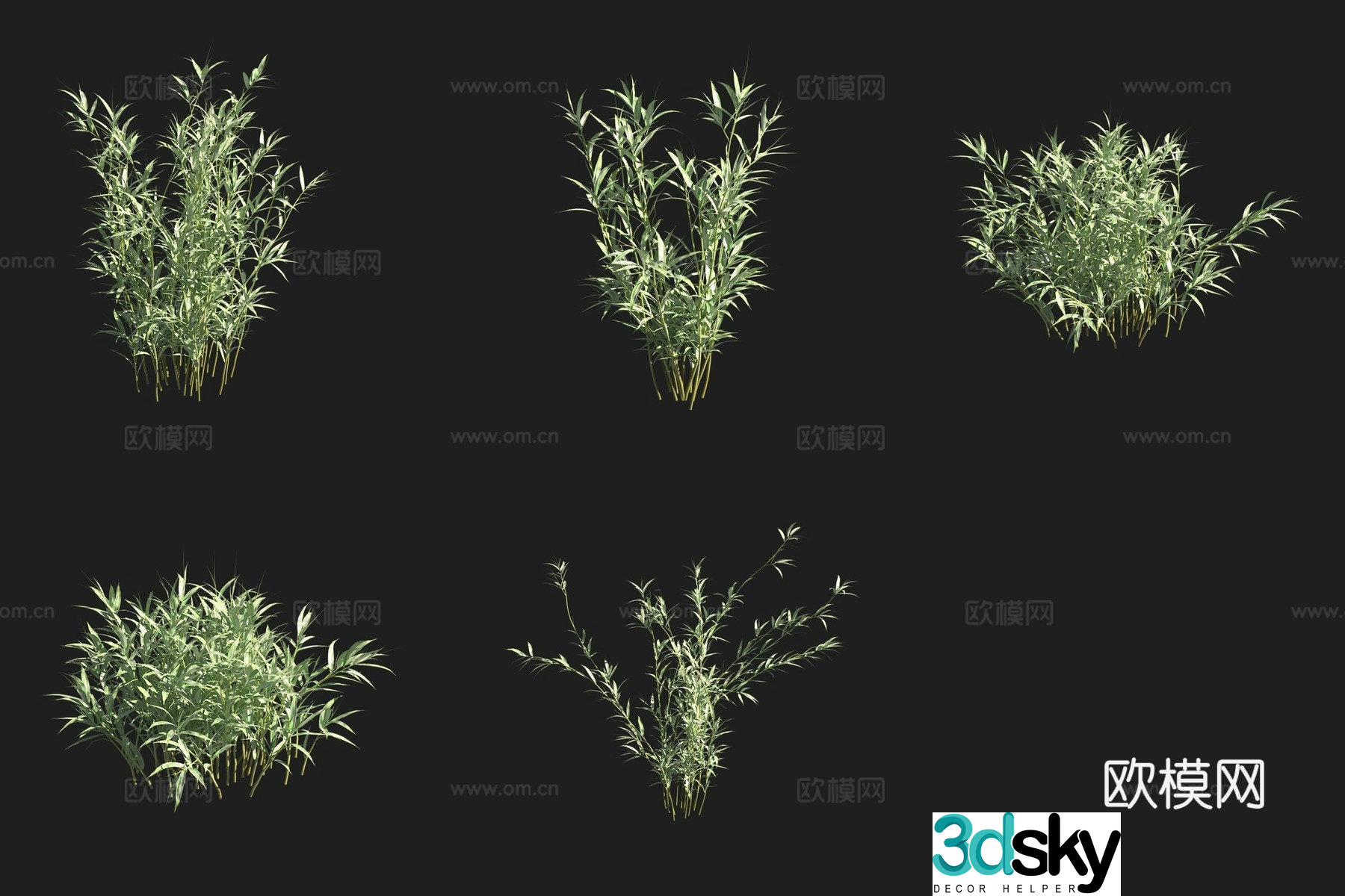 Bamboo bamboo forest 3d model