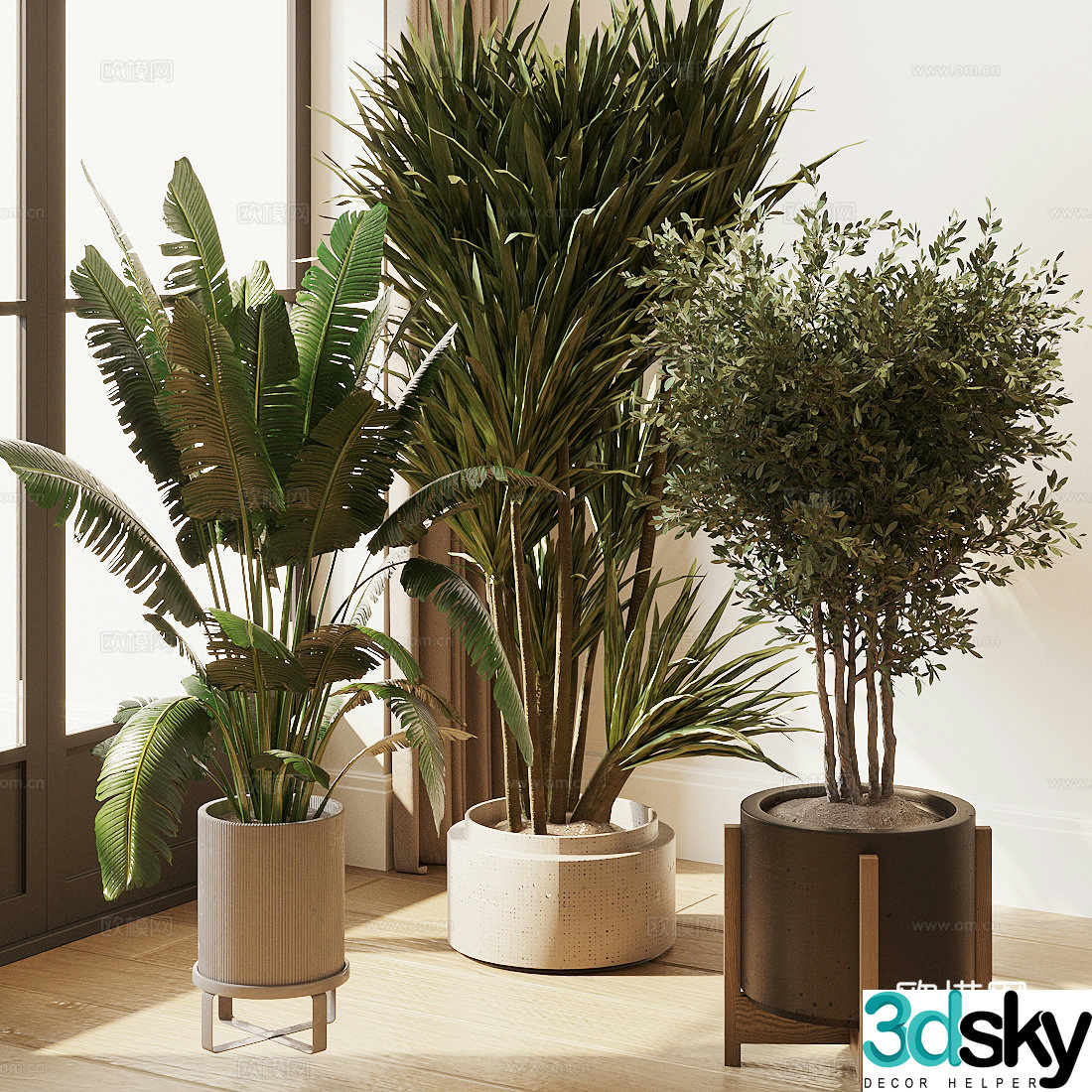 Potted plants green plants olive trees simulated scattered 3D model