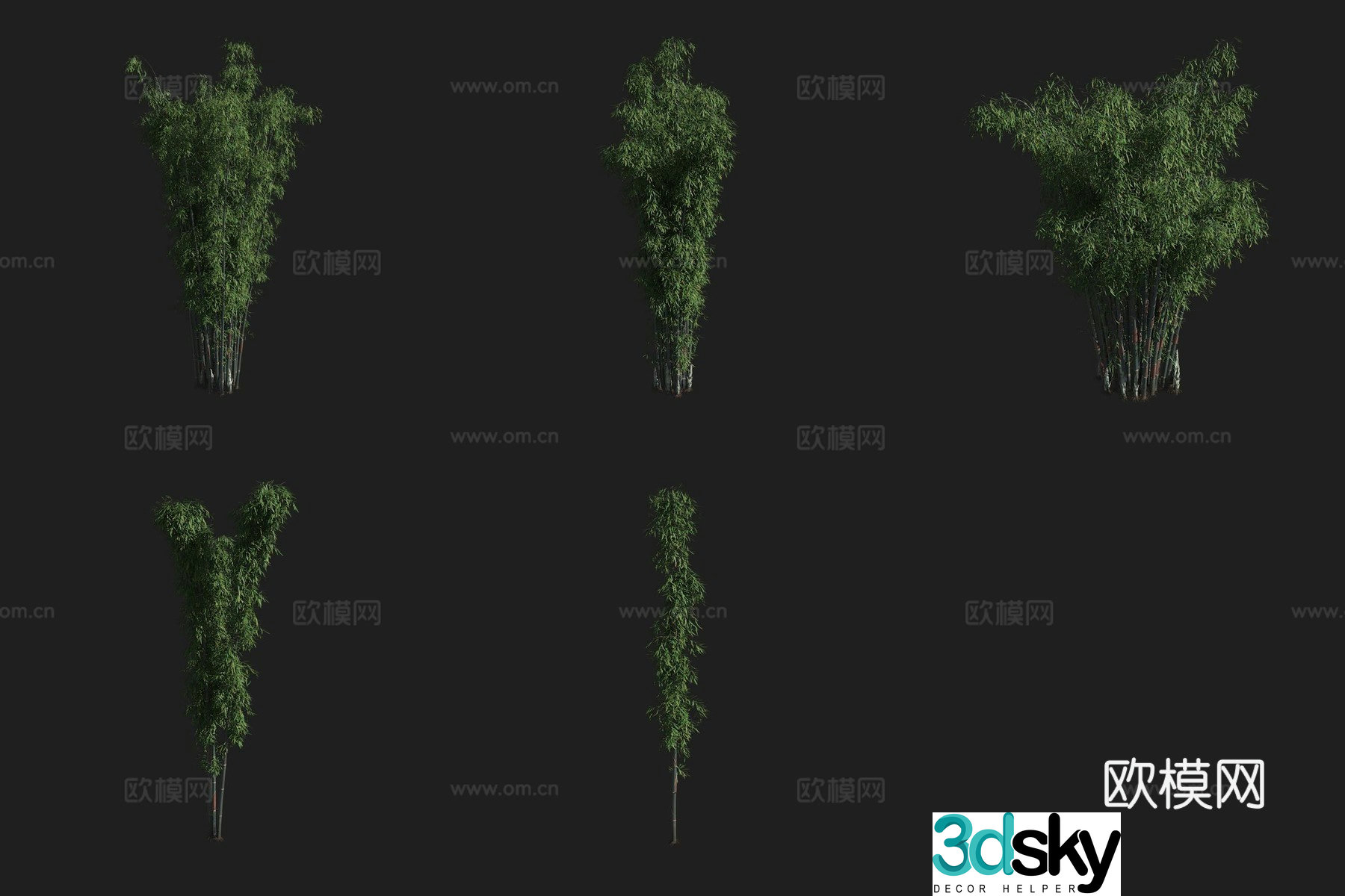 Mazhu Bamboo Bamboo Forest 3D Model