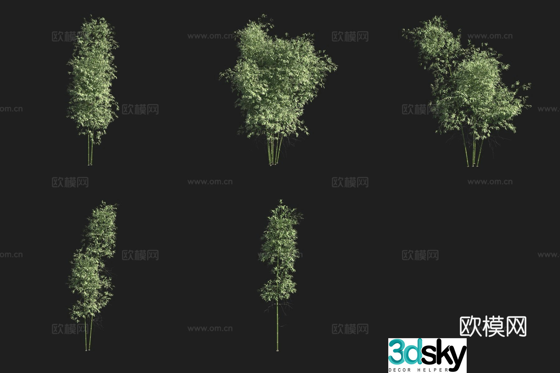 Green pink bamboo bamboo forest 3d model