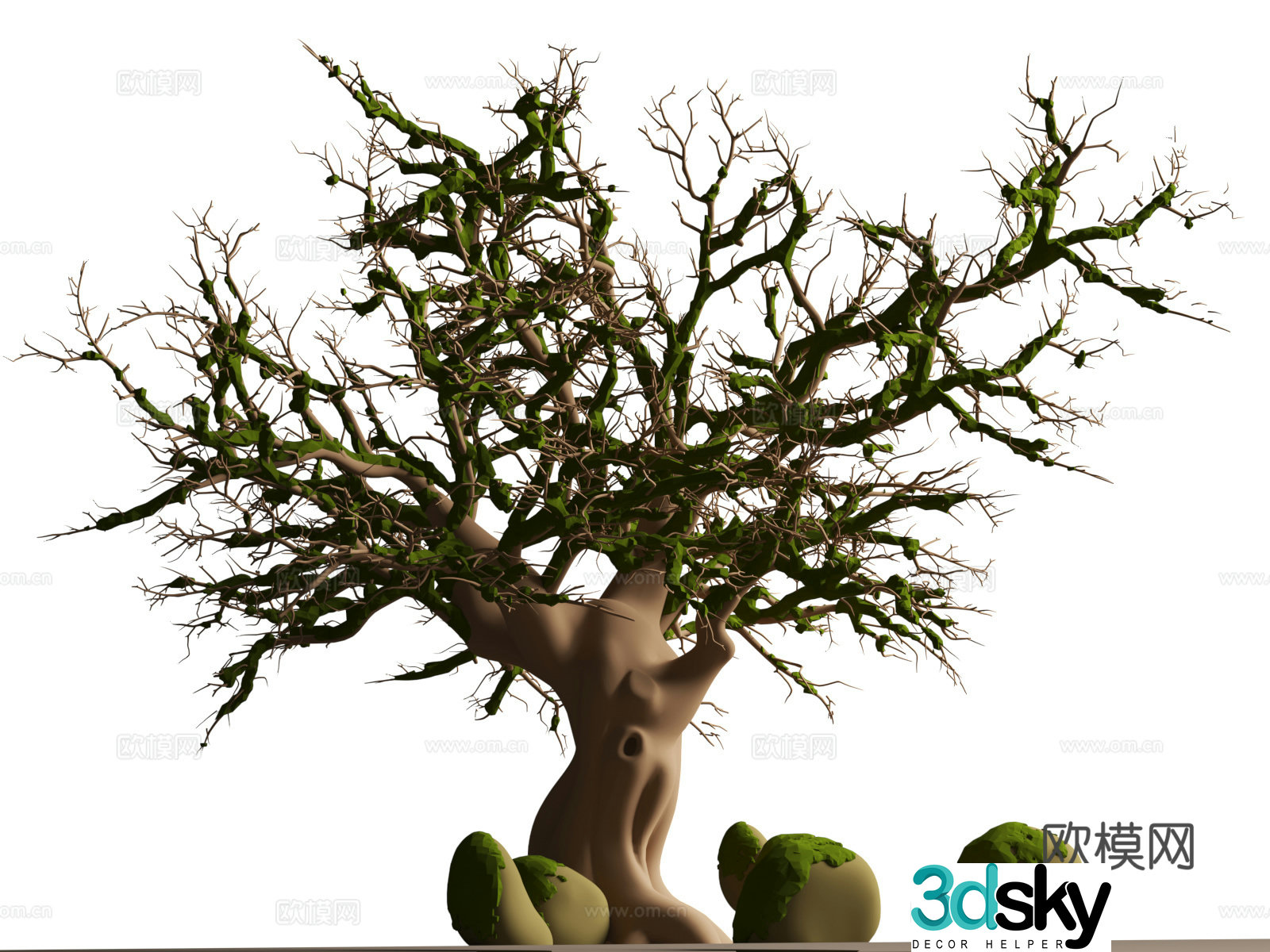 Dead Tree Big Tree Big Banyan Tree 3D Model