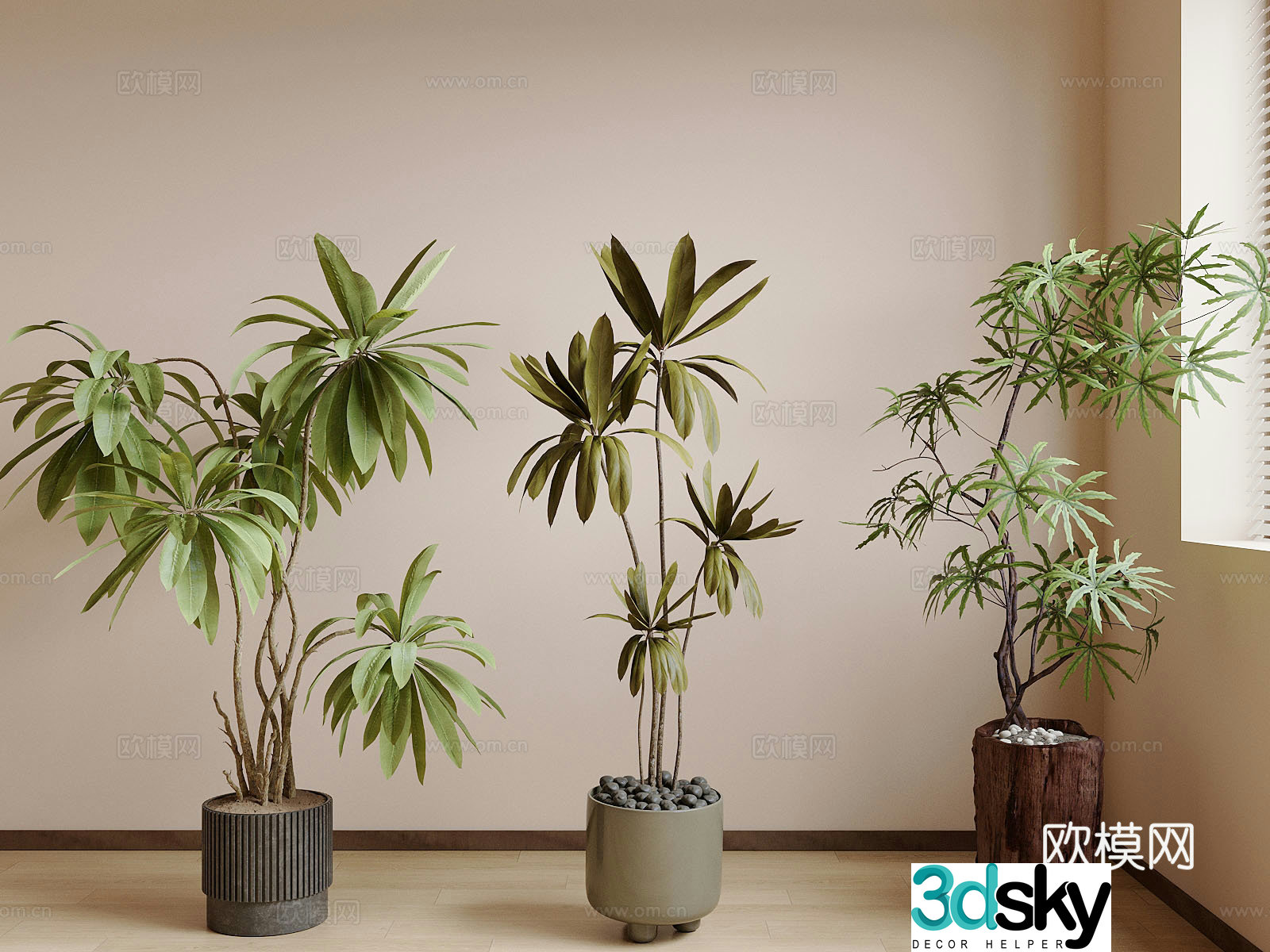Potted plants Green plants combination Potted plants combination 3D model