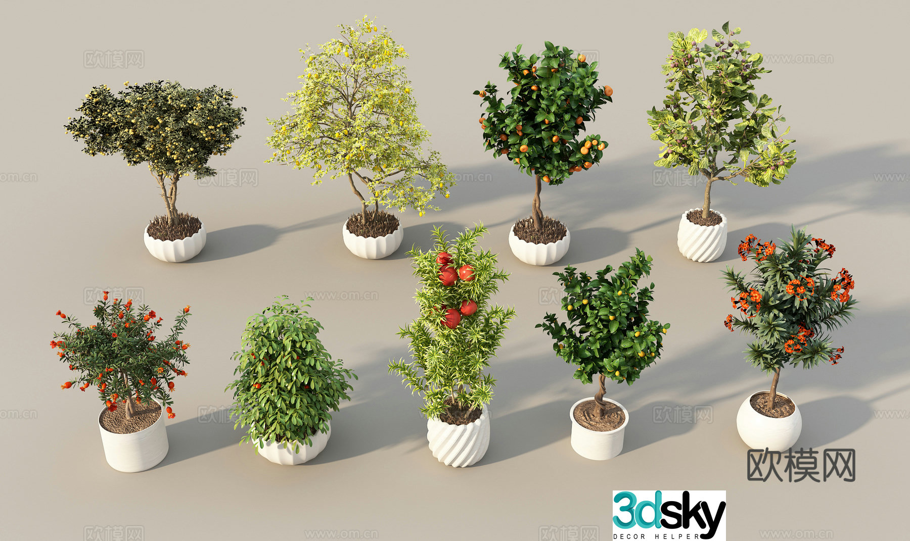 Modern fruit tree Modern potted plant 3d model