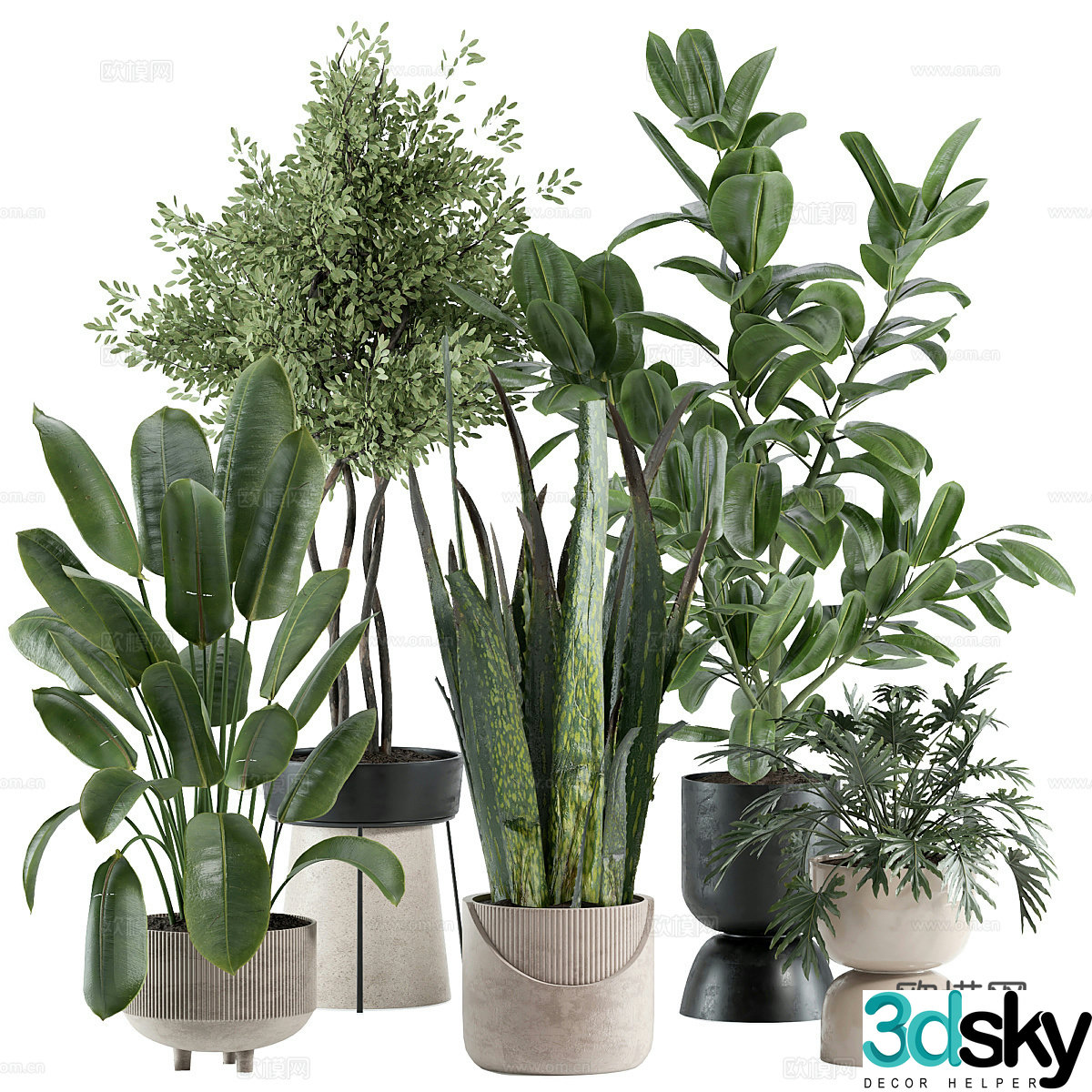 Modern green plant potted 3D model