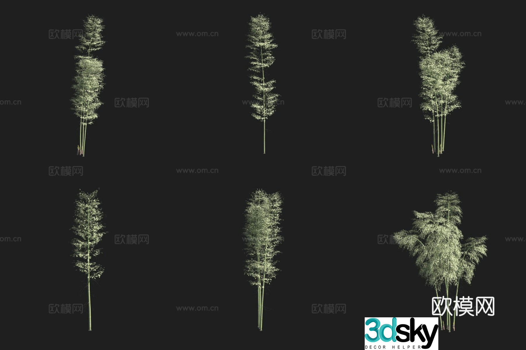 Bamboo bamboo forest 3d model