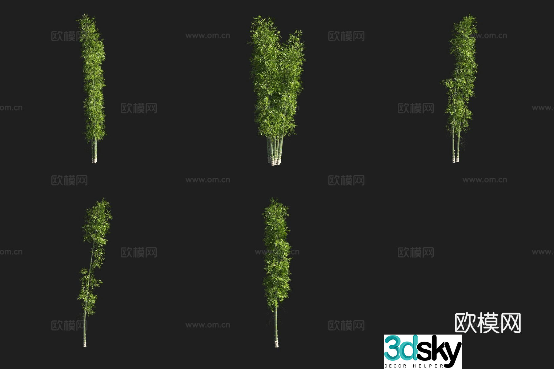 Dragon Bamboo 3D Model