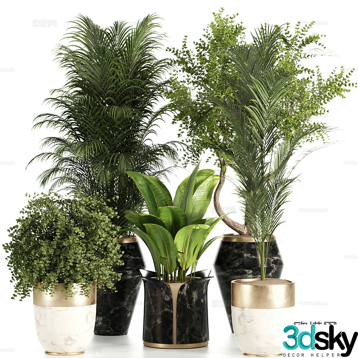 Green plant potted 3D model
