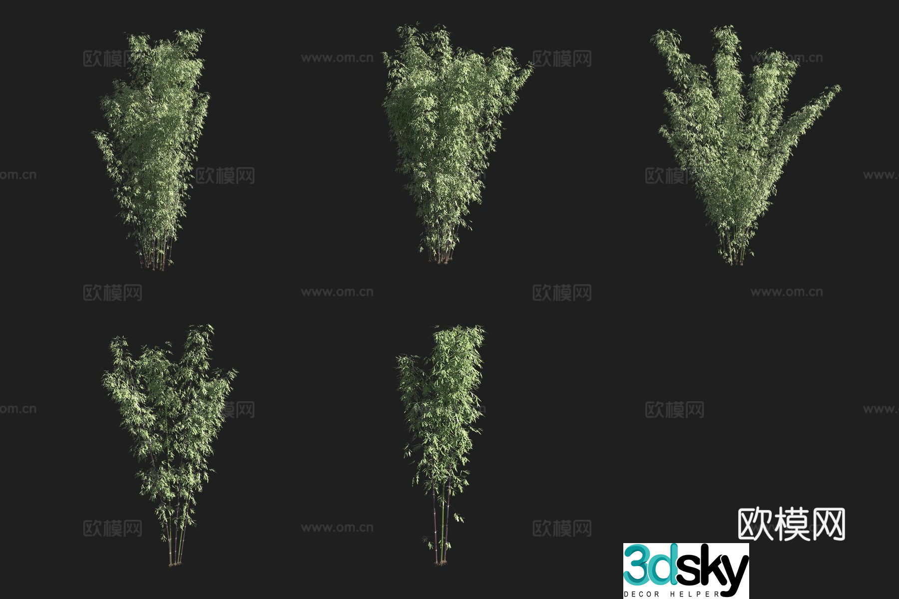Purple bamboo bamboo forest 3d model