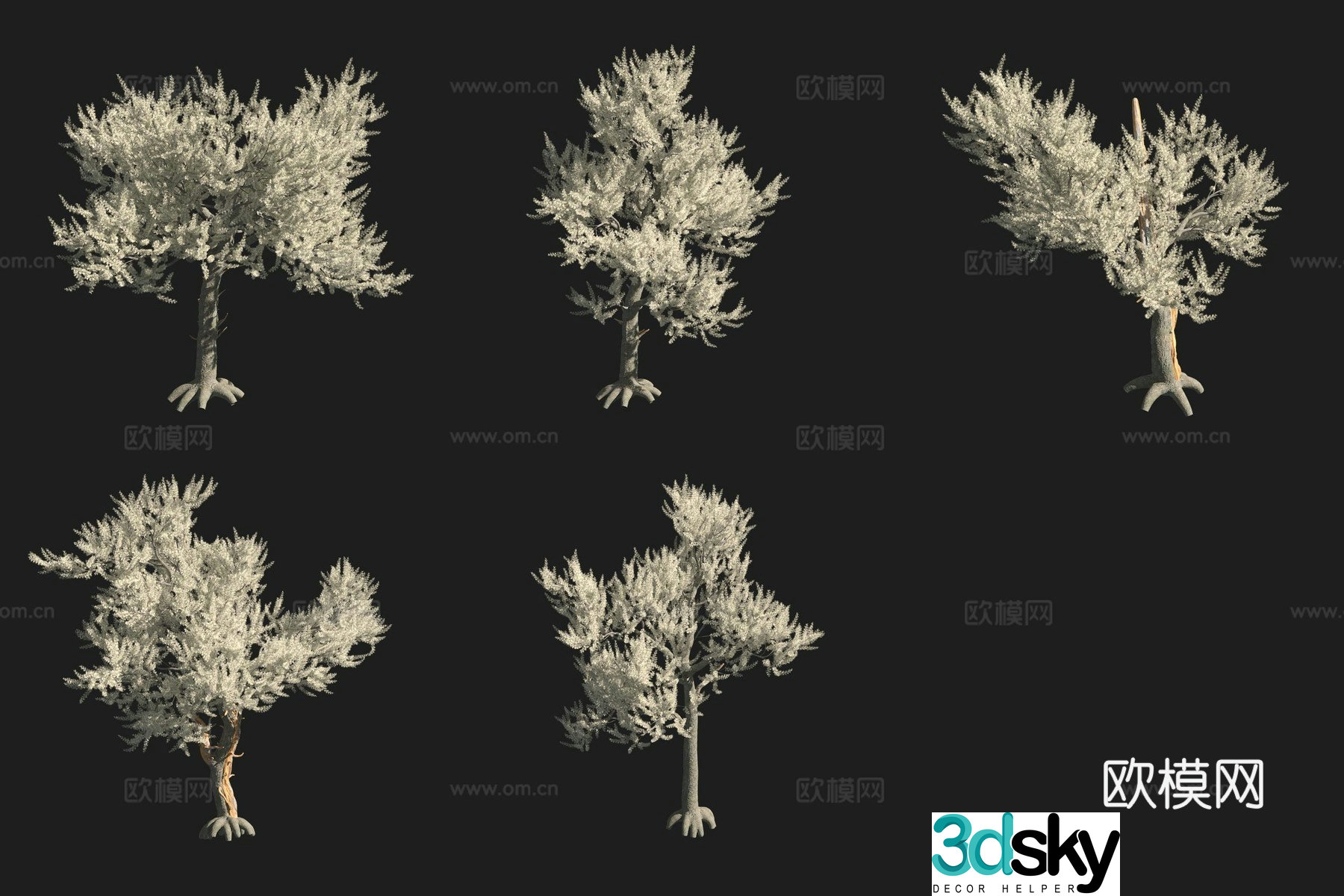 North American tree 3D model