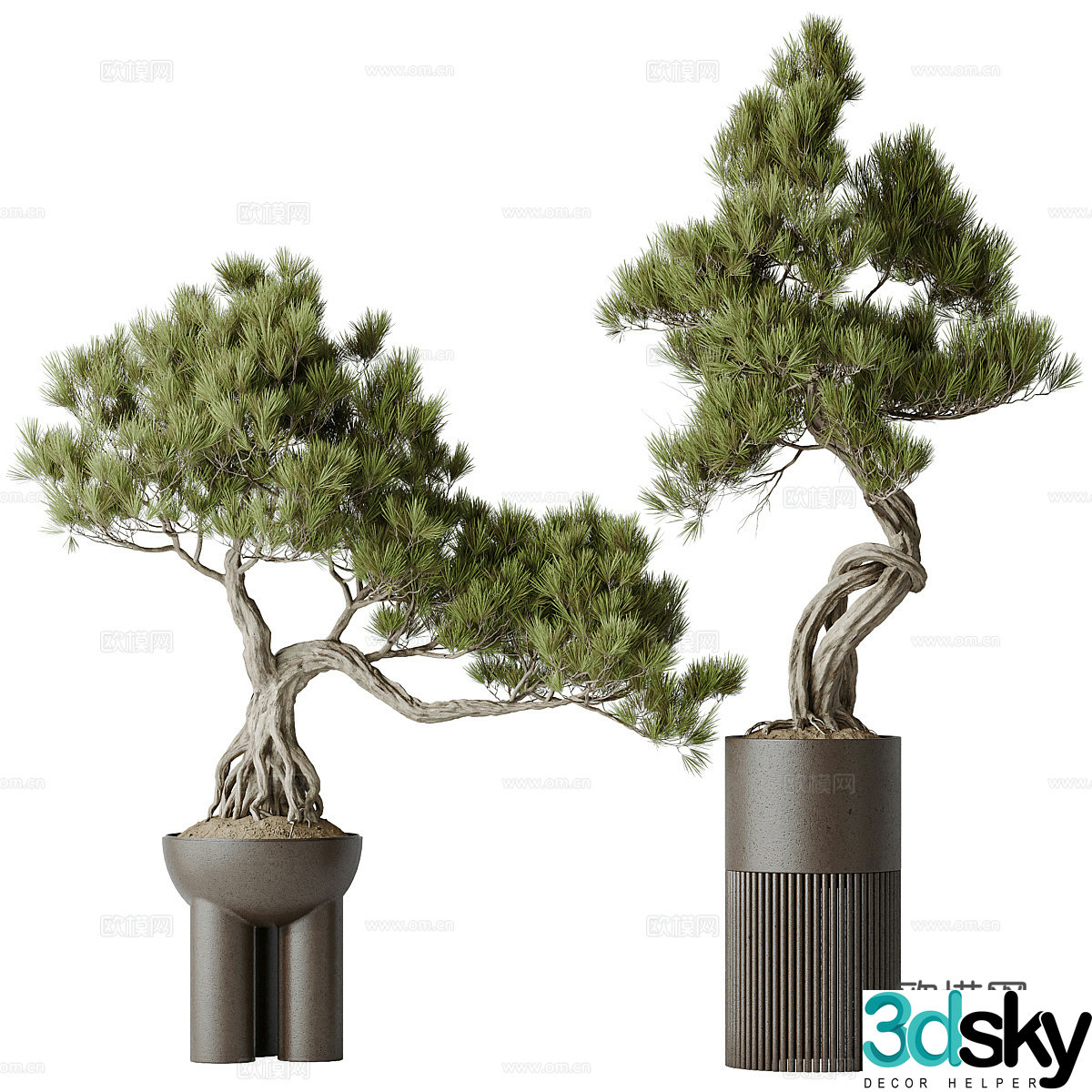 New Chinese style bonsai 3D model