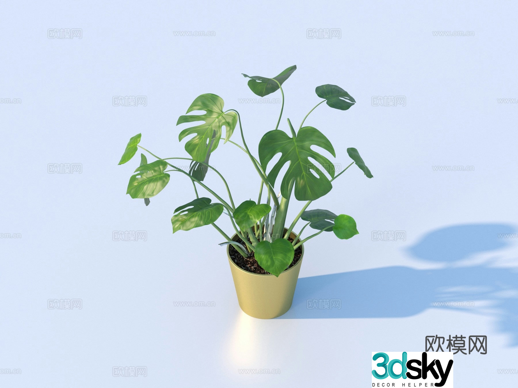 Flower pot pot green plants plant 3d model