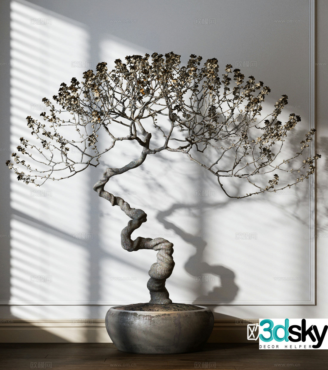 Plant flower pot bonsai 3d model