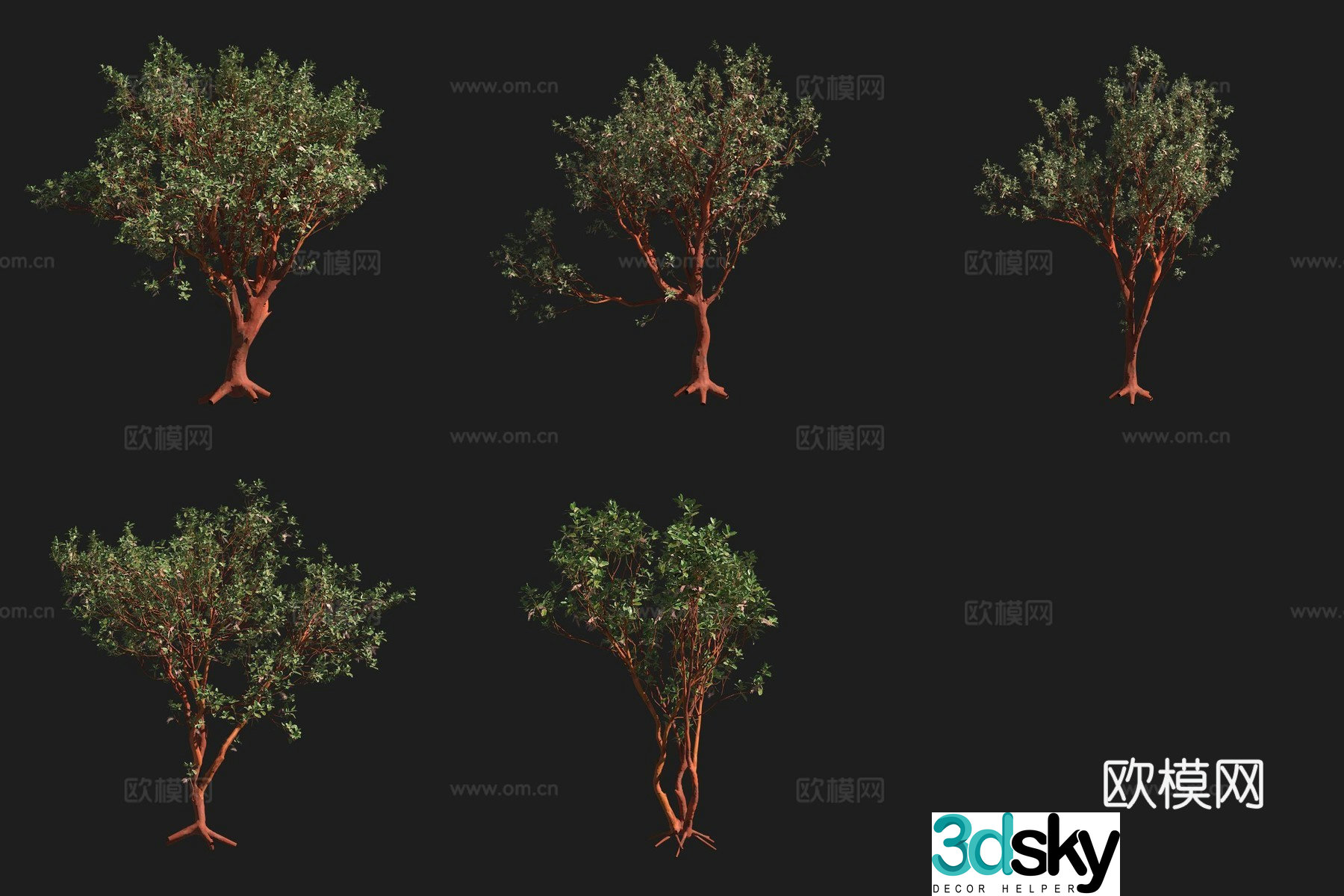 Men’s Strawberry Tree North American Tree 3D Model