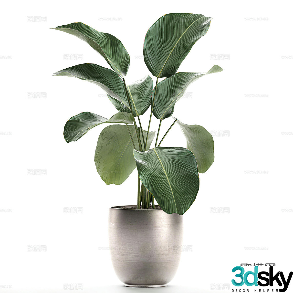 Modern green plant potted 3D model