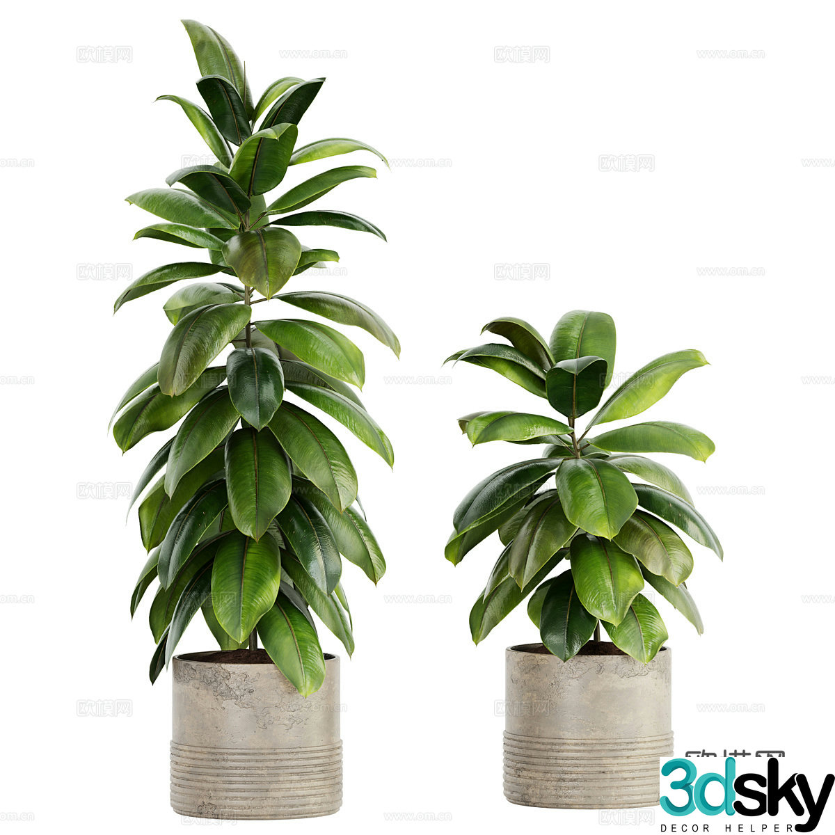 Modern green plant potted 3D model