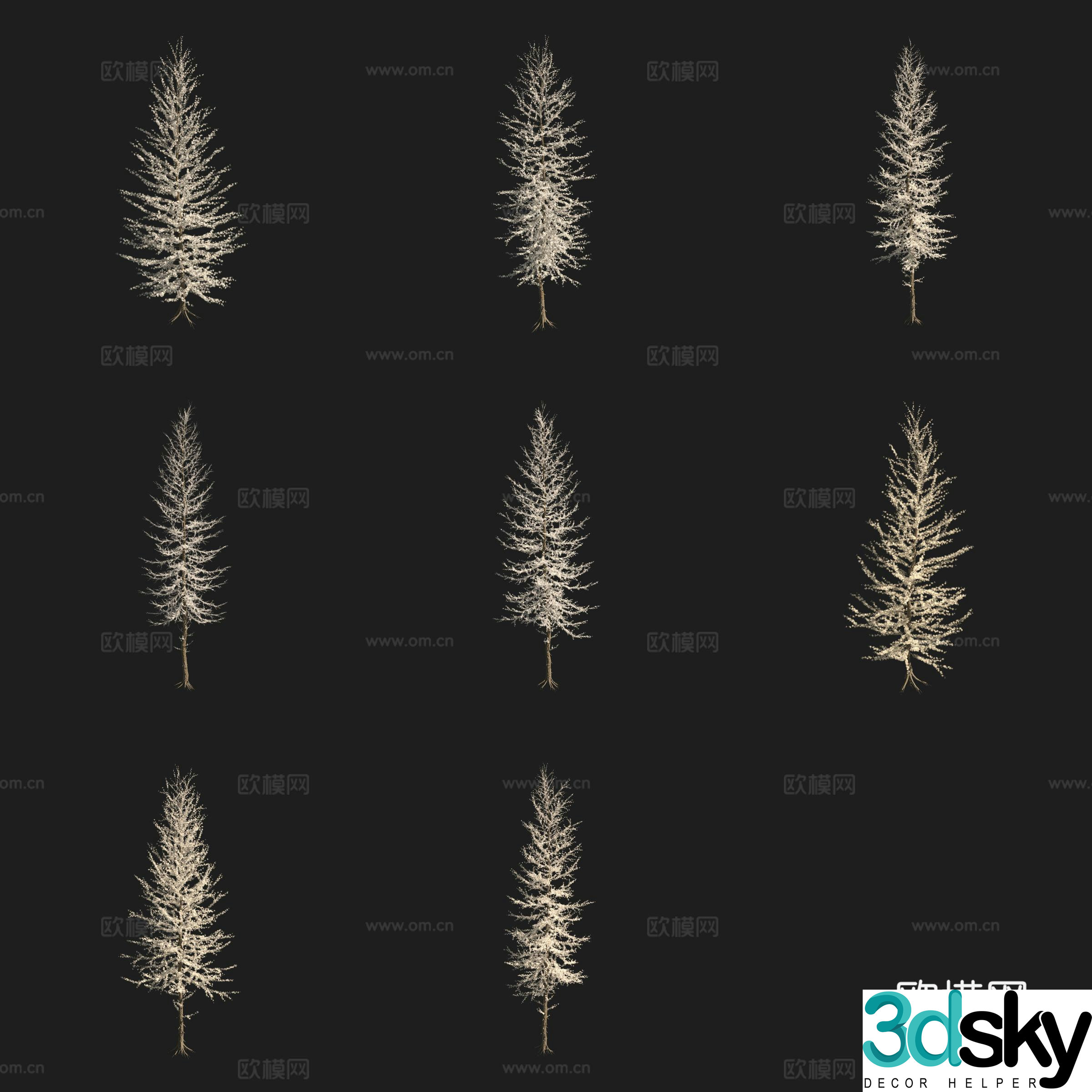 Subalpine larch tree North American tree 3d model