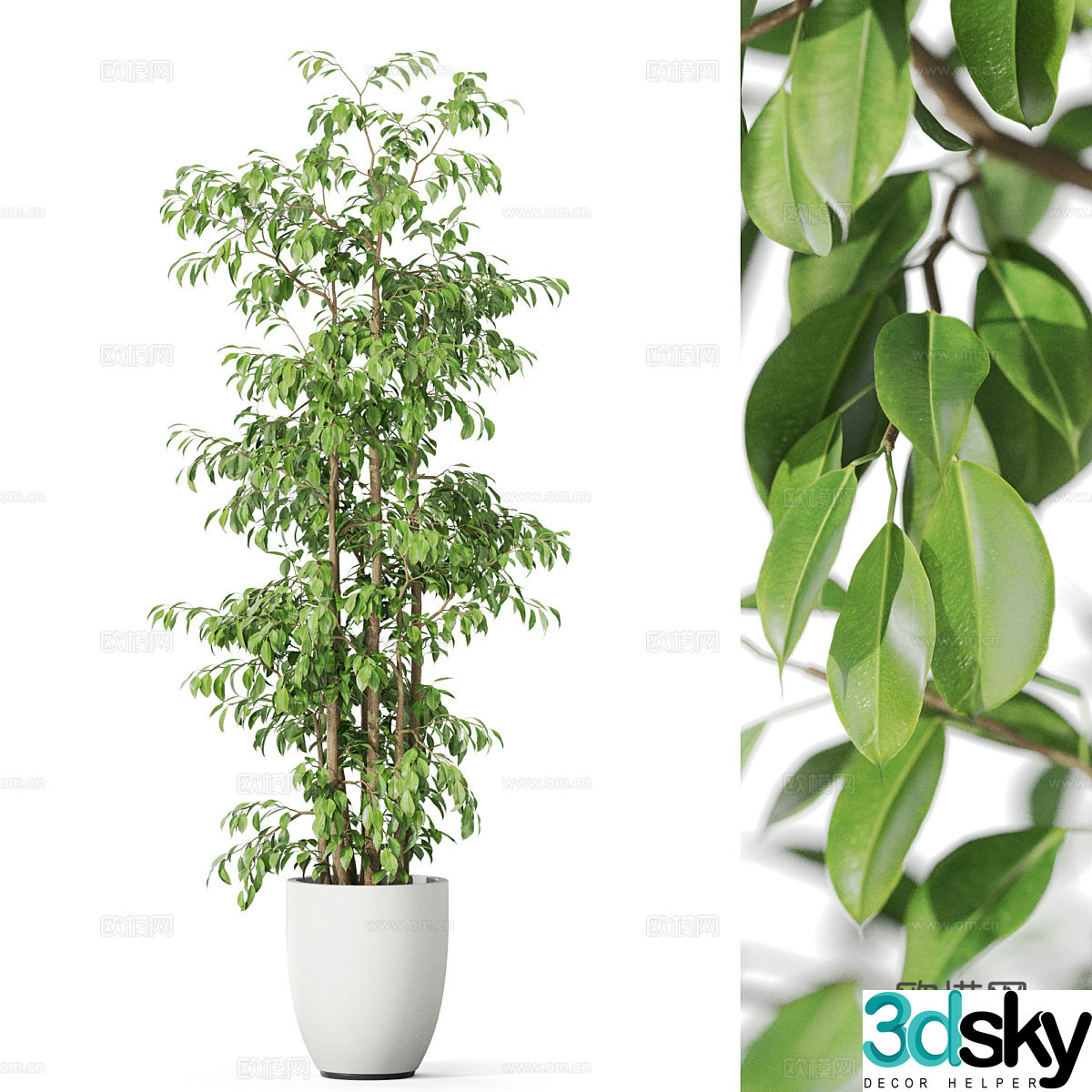 Modern green plant potted 3D model