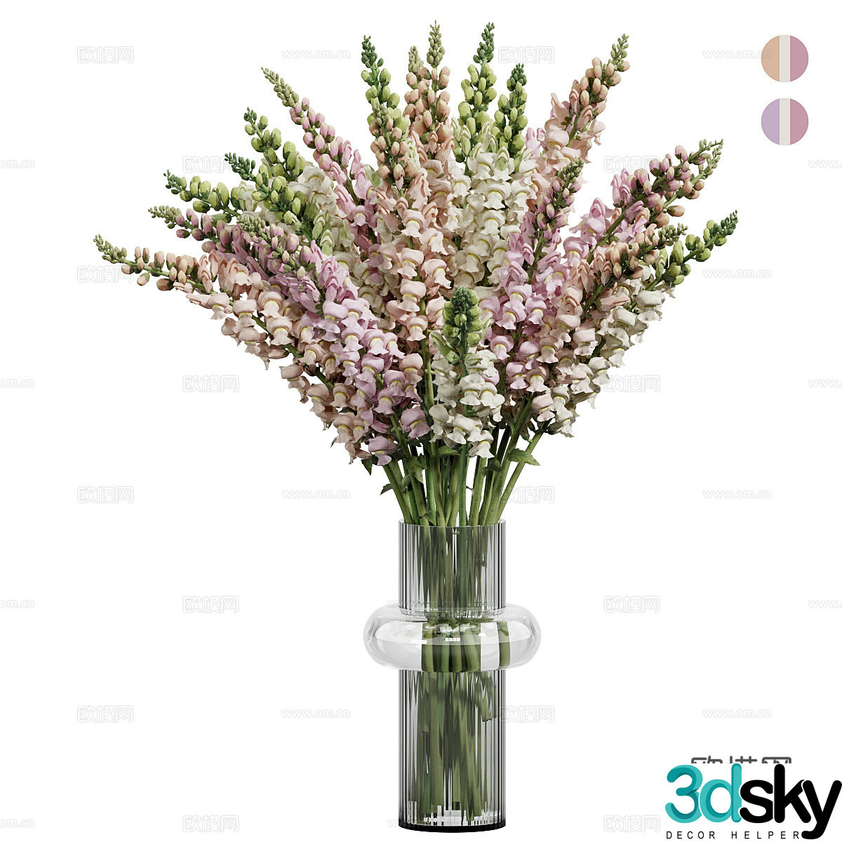 Lavender 3d model