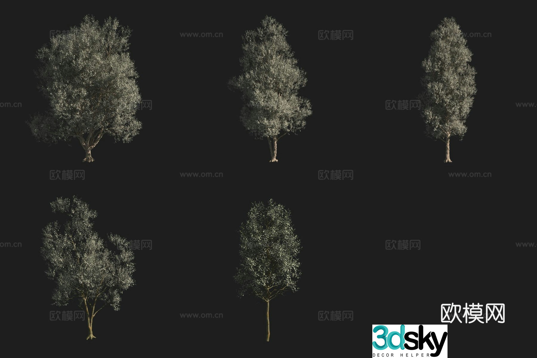 North American tree 3D model of dense flower stone oak tree