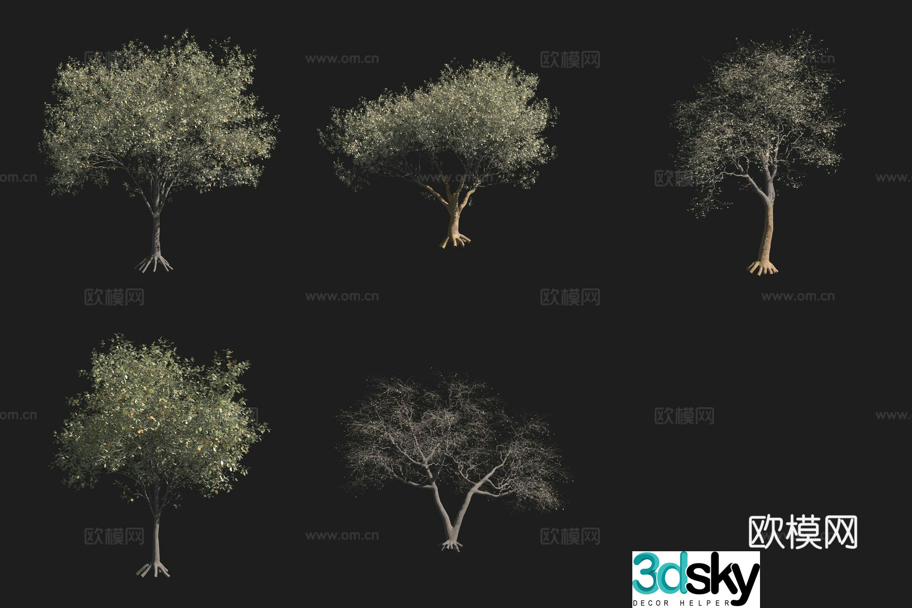 Gary Oak Tree North American Tree 3D Model