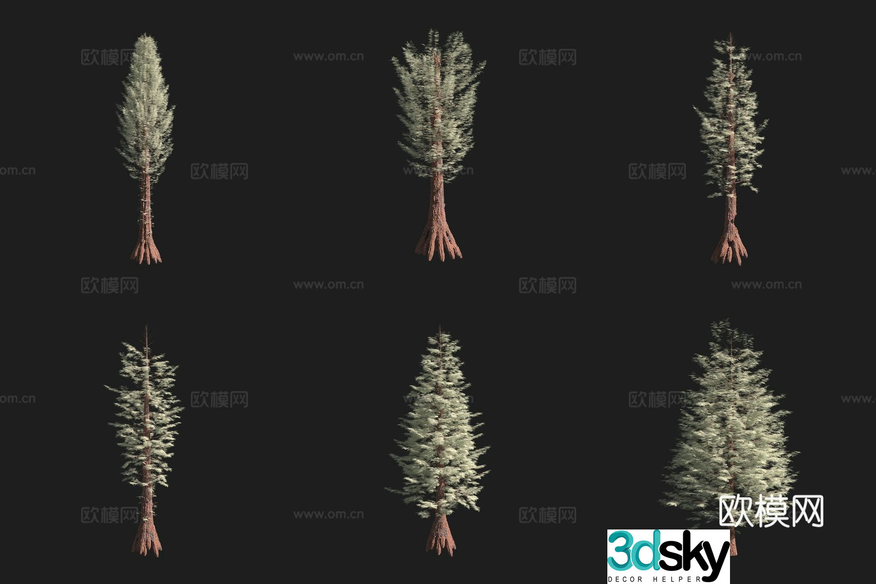 Sequoia Tree North American Tree 3D Model