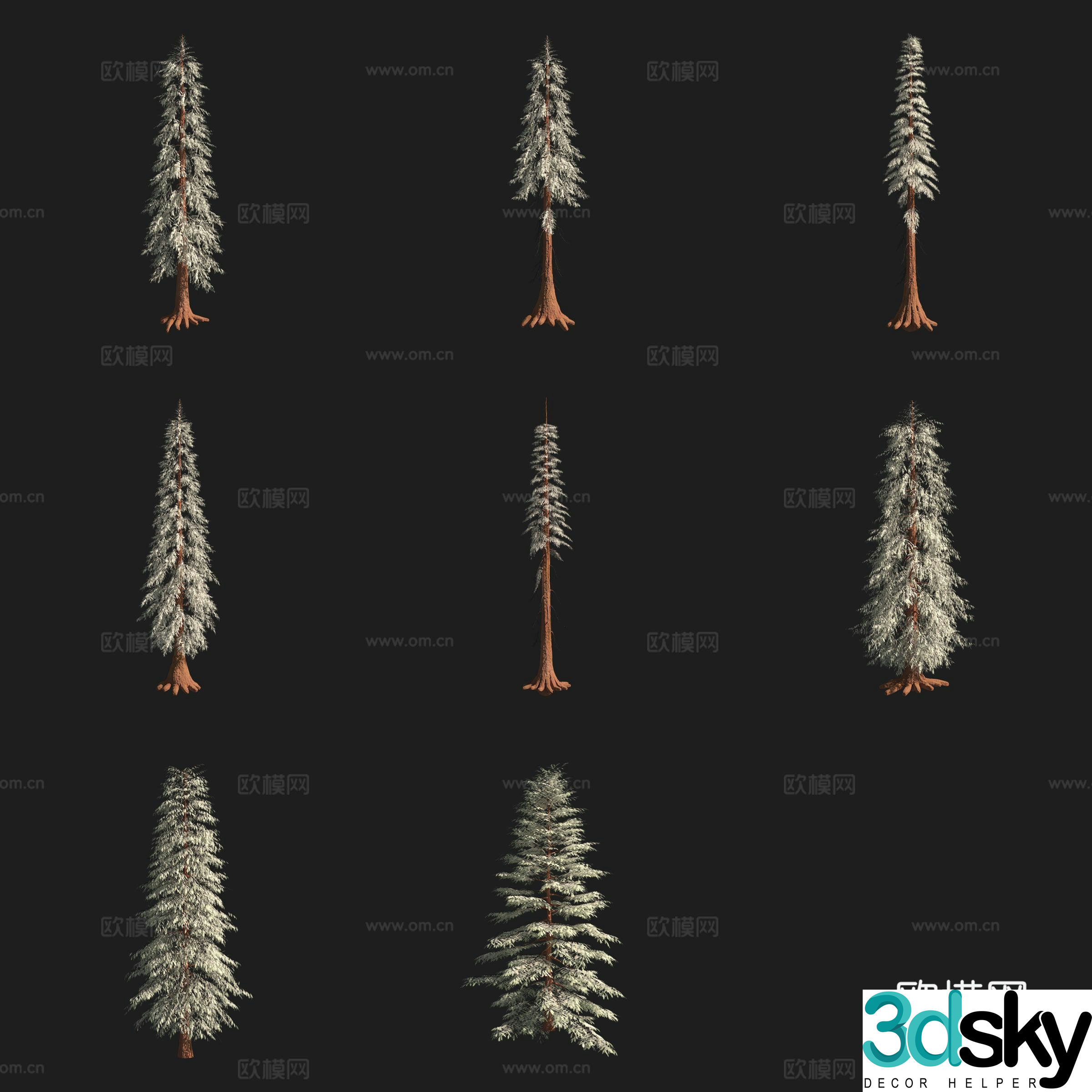 Western Red Cypress North American Tree 3D Model
